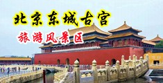 操逼毛片黄色视频中国北京-东城古宫旅游风景区